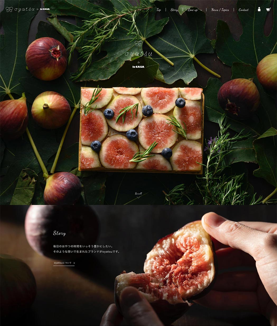 untitled image